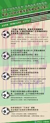 国务院足球改革发展部际联席会议办公室印发中国足球协会调整改革方案